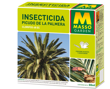 Para combatir al picudo que ataca las palmeras